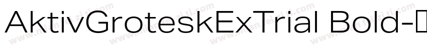 AktivGroteskExTrial Bold字体转换